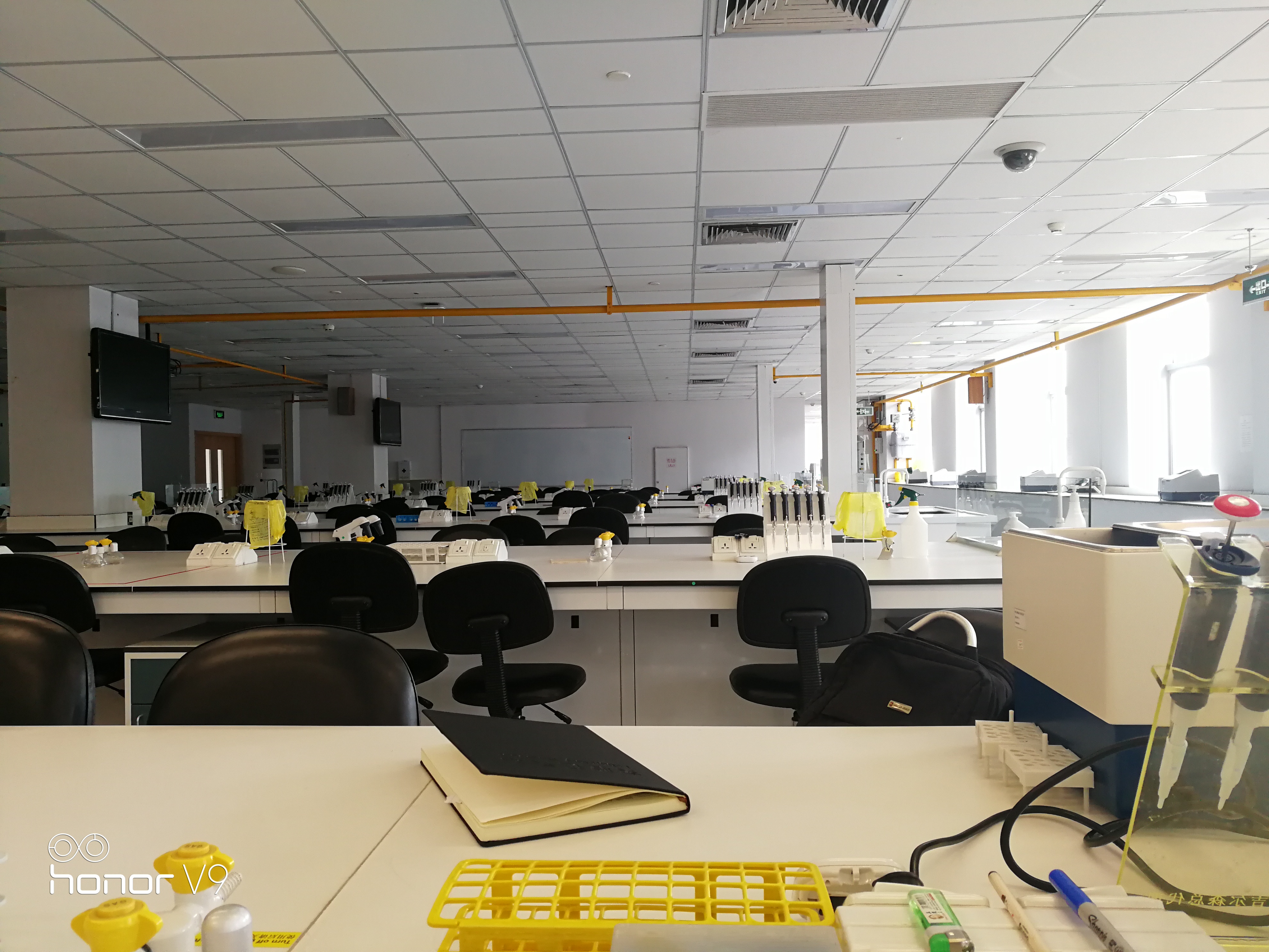 Team:XJTLU-CHINA/Safety - 2017.igem.org