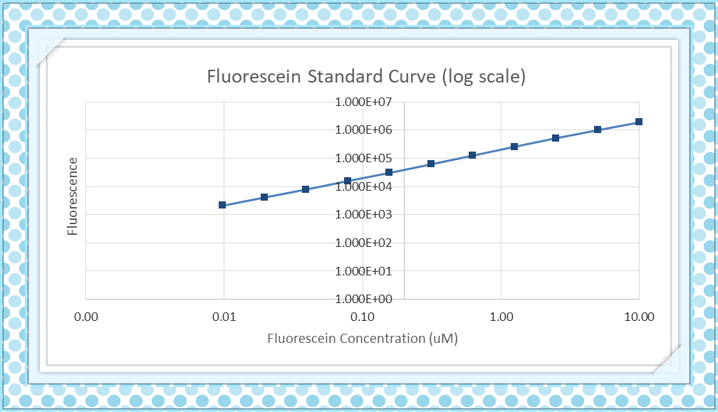 TeamAHUT China/Sponsoring