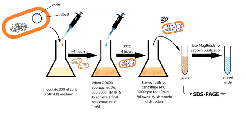 Ishimページ W. B. Yeats and 