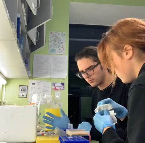 Team:Estonia TUIT/videojs - 2021.igem.org